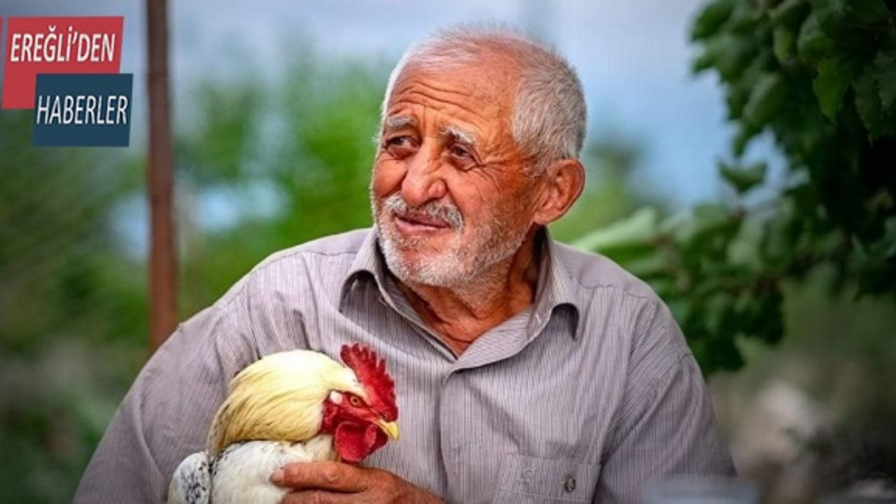 Bir orman daha kuruyor.....