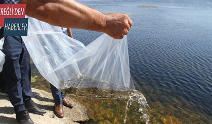 Konya’da 21 göl ve gölete 1 milyon 8 bin yavru sazan balığı bırakıldı