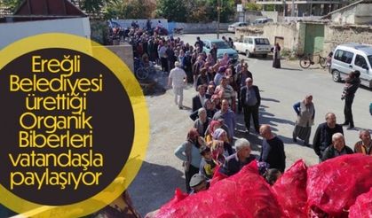 ORGANİK TARIMDA ÖNCÜYÜZ