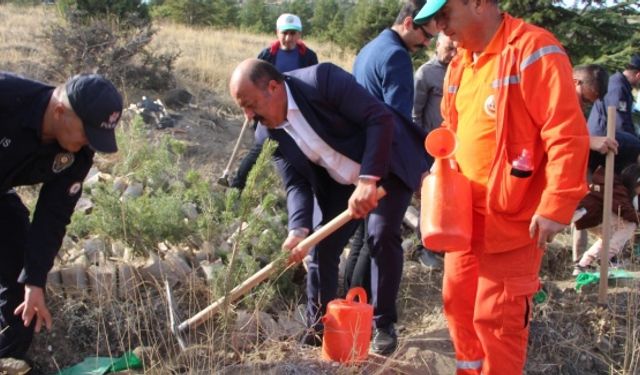 HALKAPINARDA’DA FİDANLAR TOPRAKLA BULUŞTU