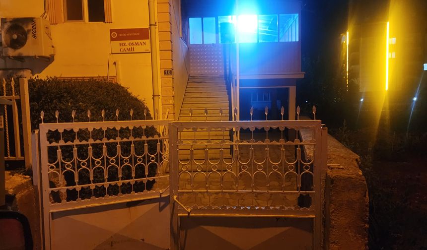 VİCDASIZLAR YER EREĞLİ